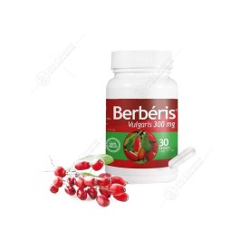 🌿 Berberis Vulgaris 300 mg – Gélules – Équilibre du Cholestérol & du Glucose | BigPara Tunisie