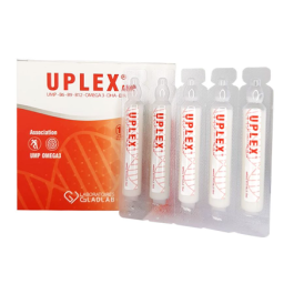 UPLEX B/20 Ampoules | BigPara Tunisie
