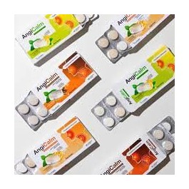 ANGICALM PASTILLE A SUCER SANS SUCRE B/16 | BigPara Tunisie