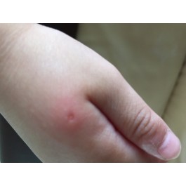 PHYTEAL Phytovera Gel Apaisant | BigPara Tunisie