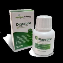 DIGESTINE – Gélules B/15 | BigPara Tunisie