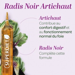 VITAVEA ARTICHAUT RADIS NOIR AMP B/10 | BigPara Tunisie