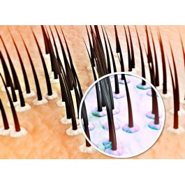 PHYTO SHAMPOOING  SEBUM CONTROL FL/250ML | BigPara Tunisie