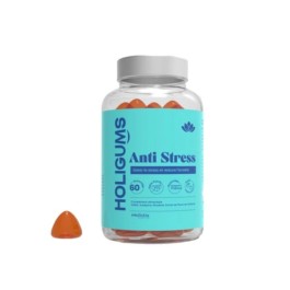 HOLIGUMS ANTI STRESS B/60 | BigPara Tunisie