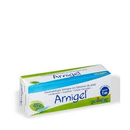 Arnigel Gel 45g | BigPara Tunisie