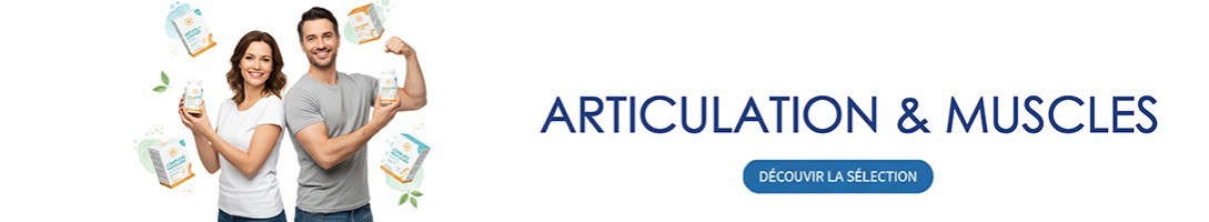 Articulation et Muscles
